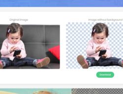 5 Cara Menghapus Background Foto dengan Mudah & Cepat di Android