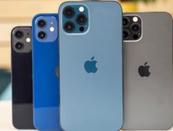 iPhone 12 Pro Max Resmi Rilis di Indonesia, Ini Harganya