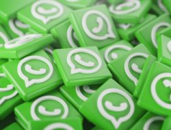 WhatsApp Sudah Bisa Kirim Video HD Jernih dan Tajam, Ini Caranya