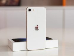 iPhone SE Generasi 2 Resmi Dijual di RI, Ini Spek & Harganya